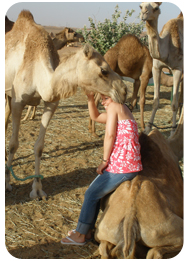 camel-farm-tour-visit-dubai-camel-ride-tour-safari-dubai-uae
