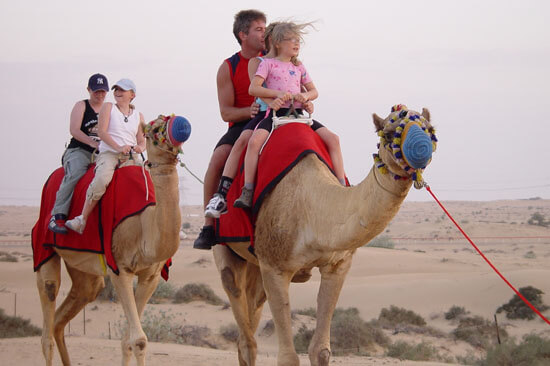 camel-ride-dubai-1-hour-or-2-hours-tour-cost-price
