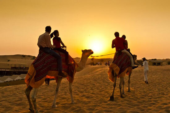 camel-ride-dubai-experience