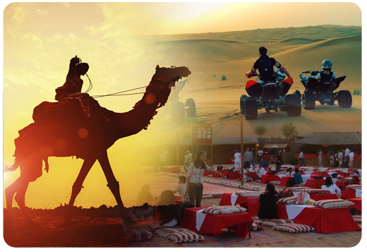 camel-safari-and-desert-camping-with-bbq-dinner-dubai