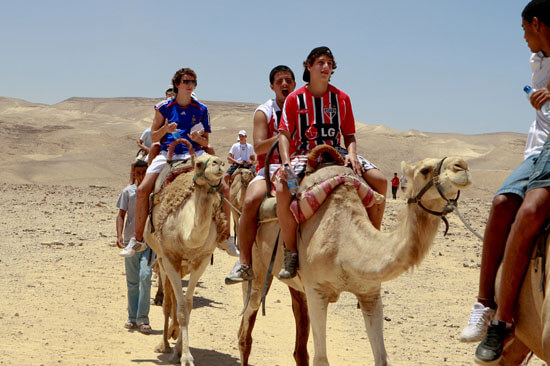 short-camel-ride-and-desert-safari-dubai