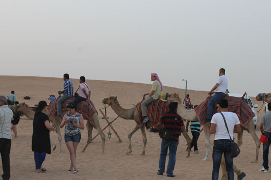 short-camel-ride-for-families-and -kids
