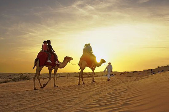 short-camel-safari-15-20-minutes-dubai